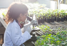 Biotechnology in the Caribbean Basin biotechnology