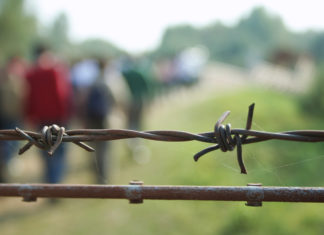 Seeking Caribbean Refuge refuge