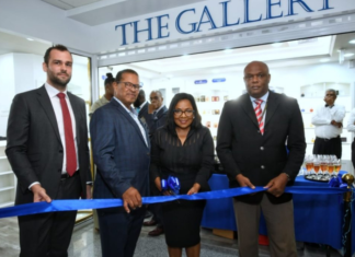 Step into The Gallery: Where Retail and Luxury Collide The Gallery