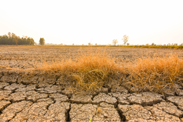 water supply caribbean