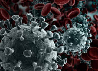 Jamaica Reports First Imported Case of Coronavirus Disease