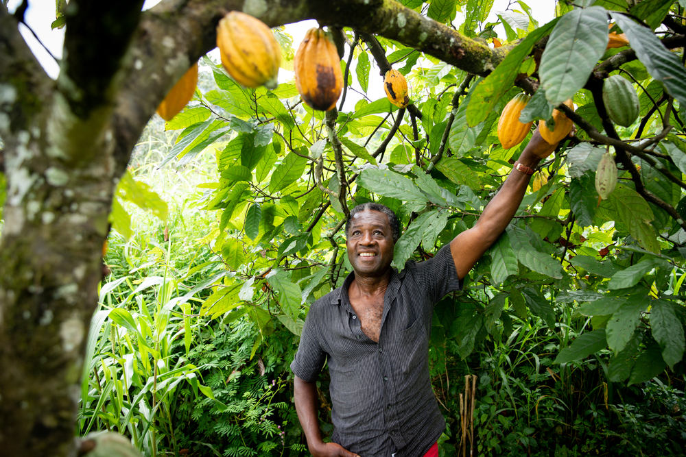 Ethical Farming As A Caribbean Niche