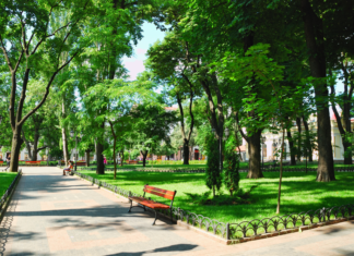 The Case For Greener Settlements And A Love Of Parks The Case For Greener Settlements And A Love Of Parks