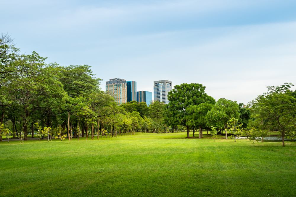 The Case For Greener Settlements And A Love Of Parks